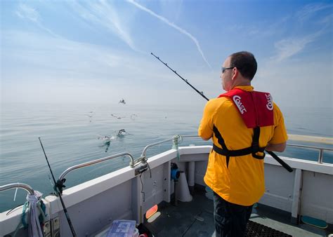 Free fish Stock Photos & Pictures .